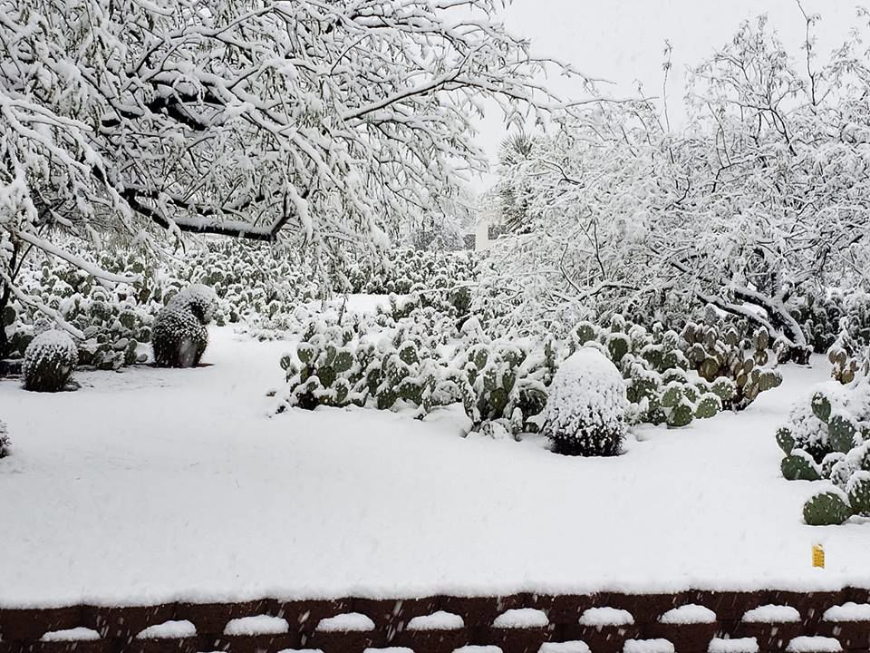 Snow in Vail
